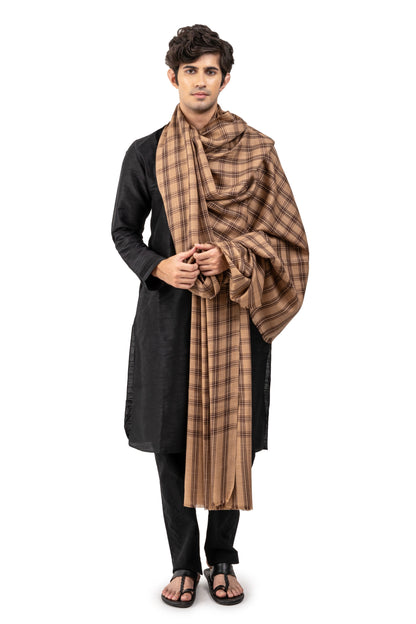 Men Dastoori Check Lohi