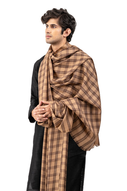 Men Dastoori Check Lohi