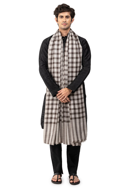 Men Dastoori Check Lohi